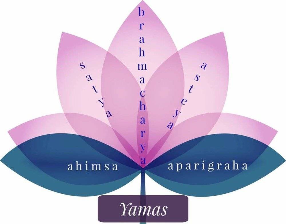 Фундаментальный принцип йоги ахимса: как не причинять вреда другим ни словом, ни мыслью, ни действием