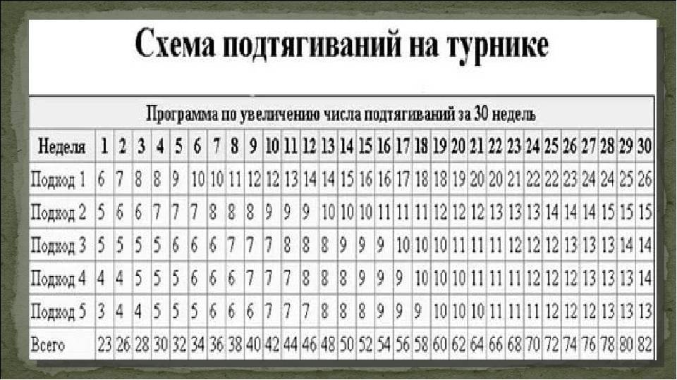 Как научиться подтягиваться на турнике с нуля — советы новичкам