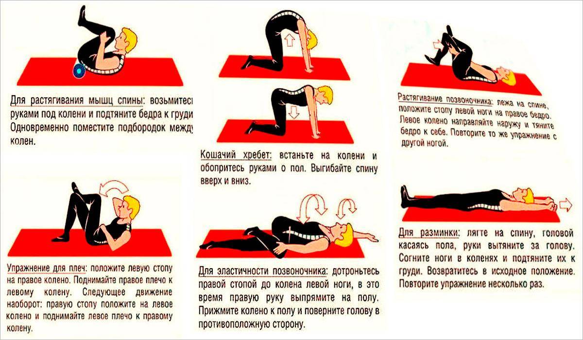 Упражнения для растяжки спины в домашних условиях для начинающих
