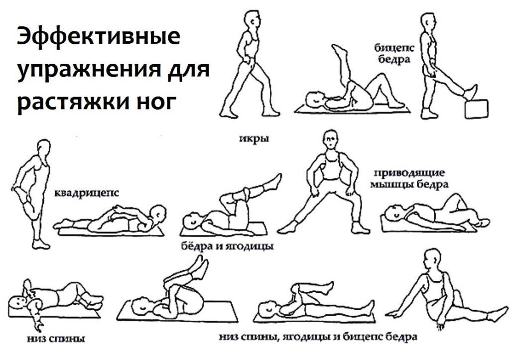 Растяжка всего тела: программа тренировок с упражнениями на гибкость и видеоуроки | rulebody.ru — правила тела