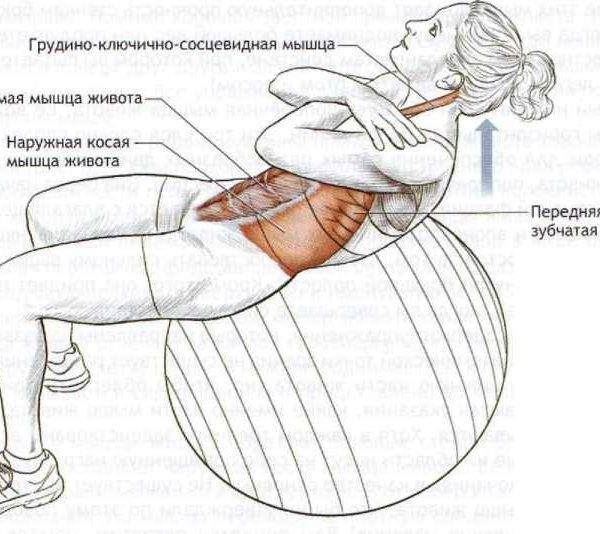 Скручивания на мяче или фитболе – прорабатываем мышцы живота