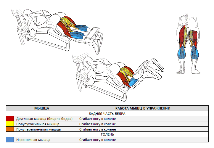 Жим ногами: платформы в тренажере лежа и сидя - техника выполнения, постановка ног