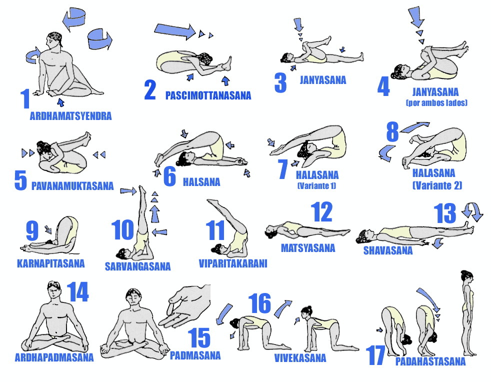 Базовые позы хатха йоги: детальное описание асан