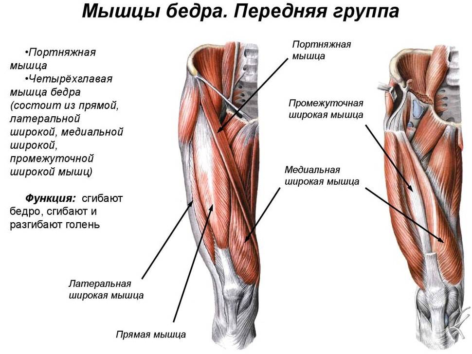 Растяжение мышц: симптомы и причины. лечение растяжения мышц в домашних условиях