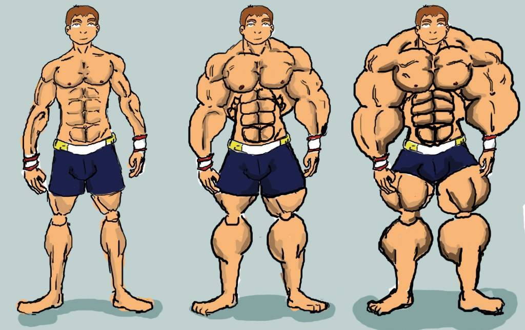 Как быстро накачать мышцы тела