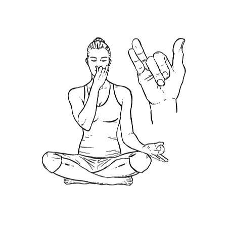 Пранаяма что это: техника дыхания для начинающих, йога, отзывы
