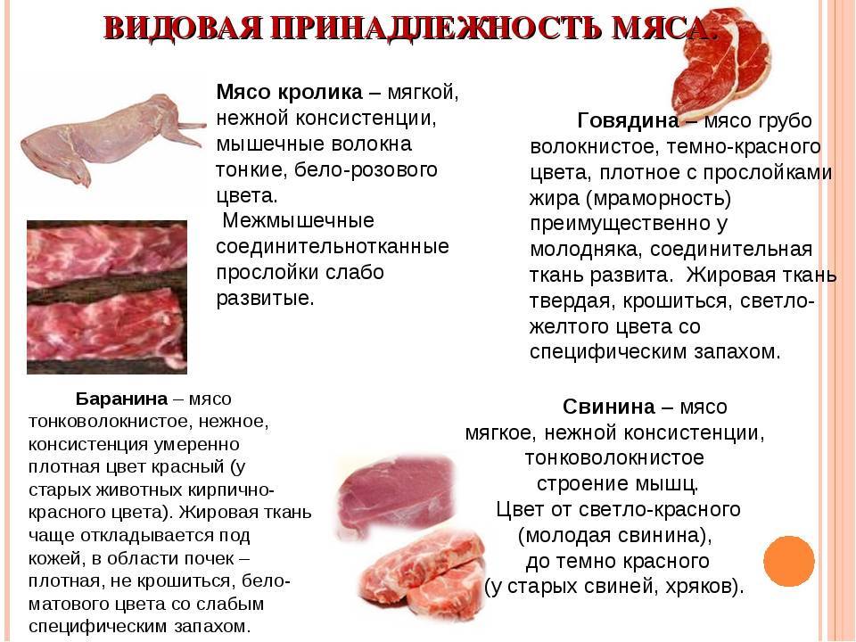 «мясо вызывает рак»: на самом деле доказательств этому не существует