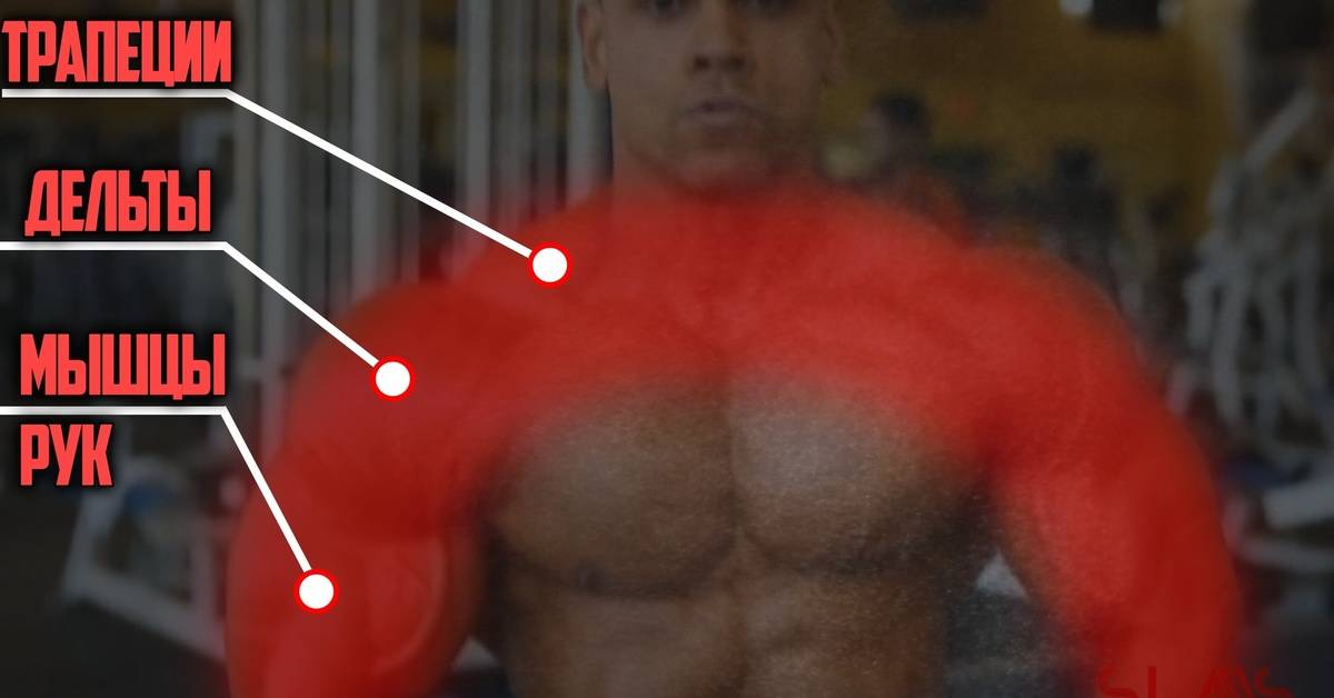 4 признака, что атлет принимает стероиды: 100% способы отличить «химика» от натурала