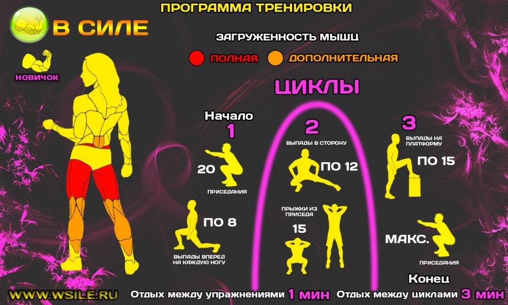 Программа тренировок для девушек в тренажерном зале