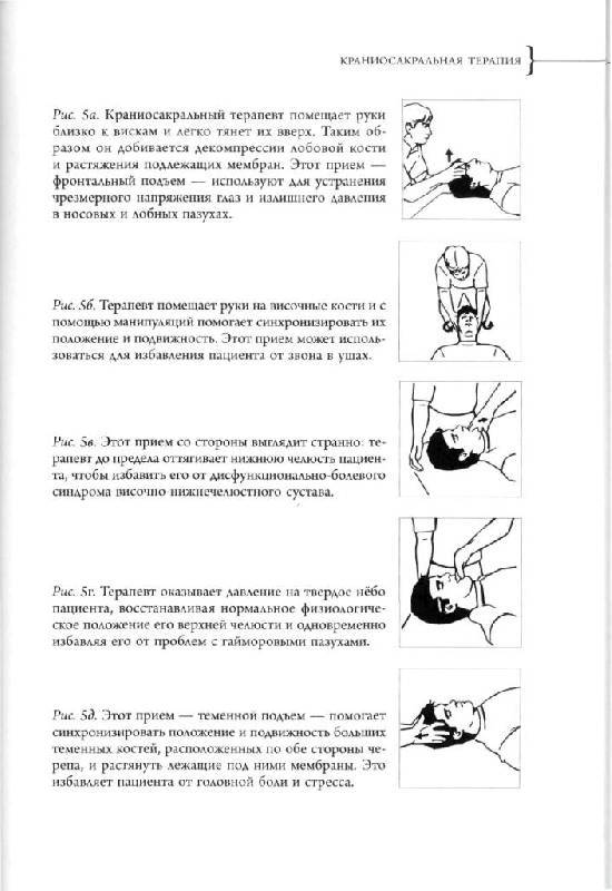 Краниосакральная остеопатия в московском центре остеопатии