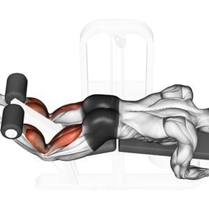 Сгибания ног лежа на животе в тренажере: техника выполнения упражнения, ключевые моменты и примечания