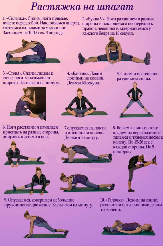 Анатомия поперечного шпагата | yoga5stihiy.ru