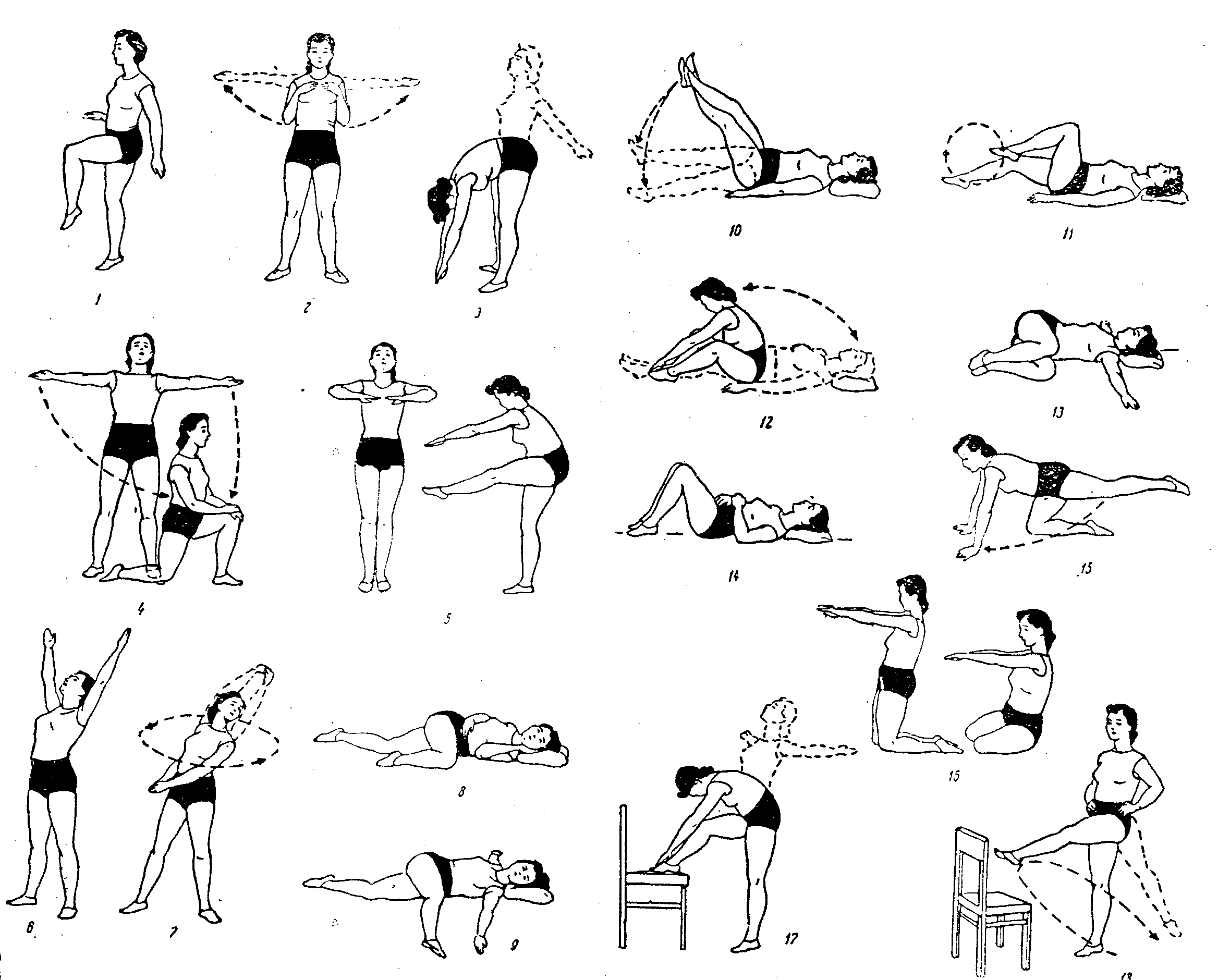 Упражнения для спины. тренировка мышц, растяжка и расслабление.