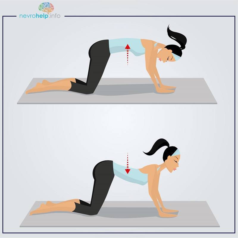 Упражнение «кошечка» для спины - описание, особенности и рекомендации