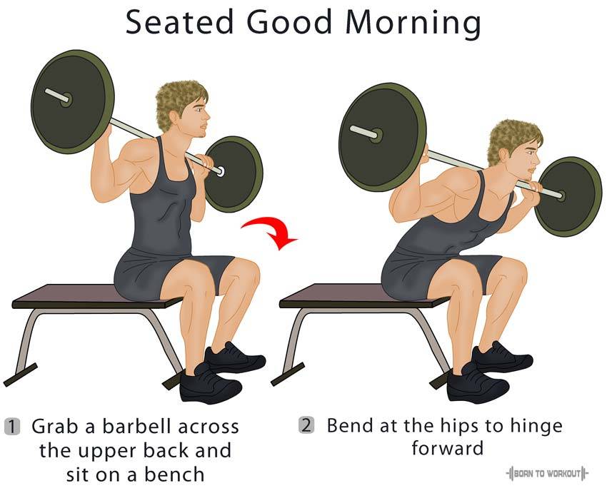 Упражнение «доброе утро»: техника выполнения наклонов со штангой