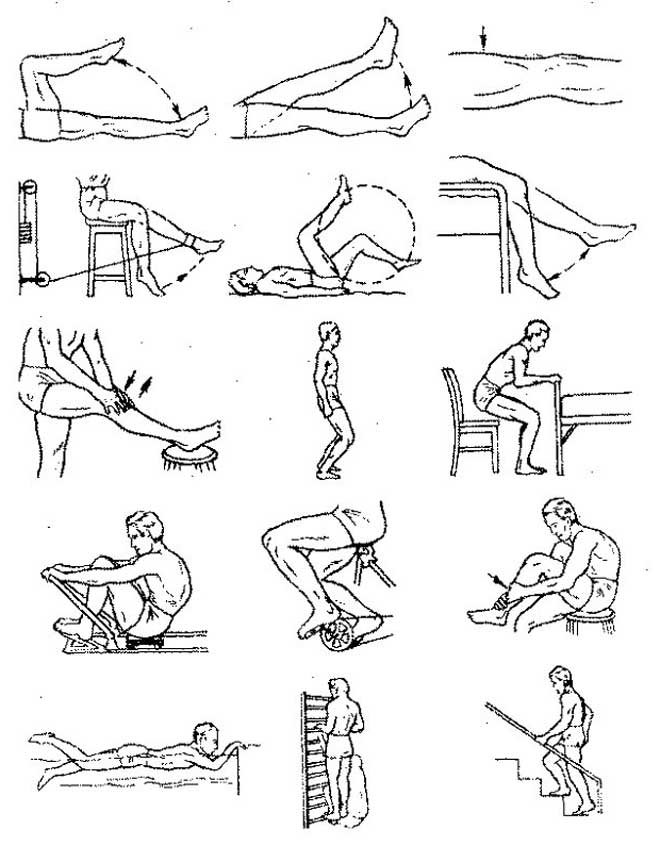 Как укрепить суставы и связки коленного и плечевого сустава - правильное питание, упражнения, прием биодобавок