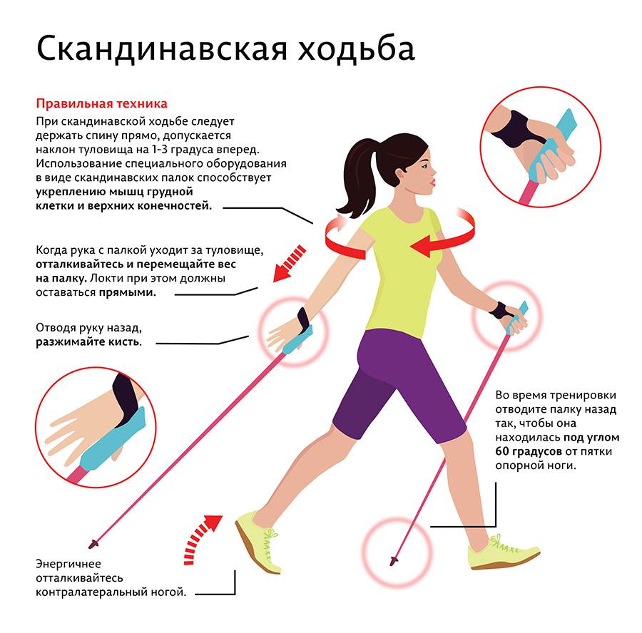 Что произойдет с вашим телом, если каждый день ходить по 10 км?