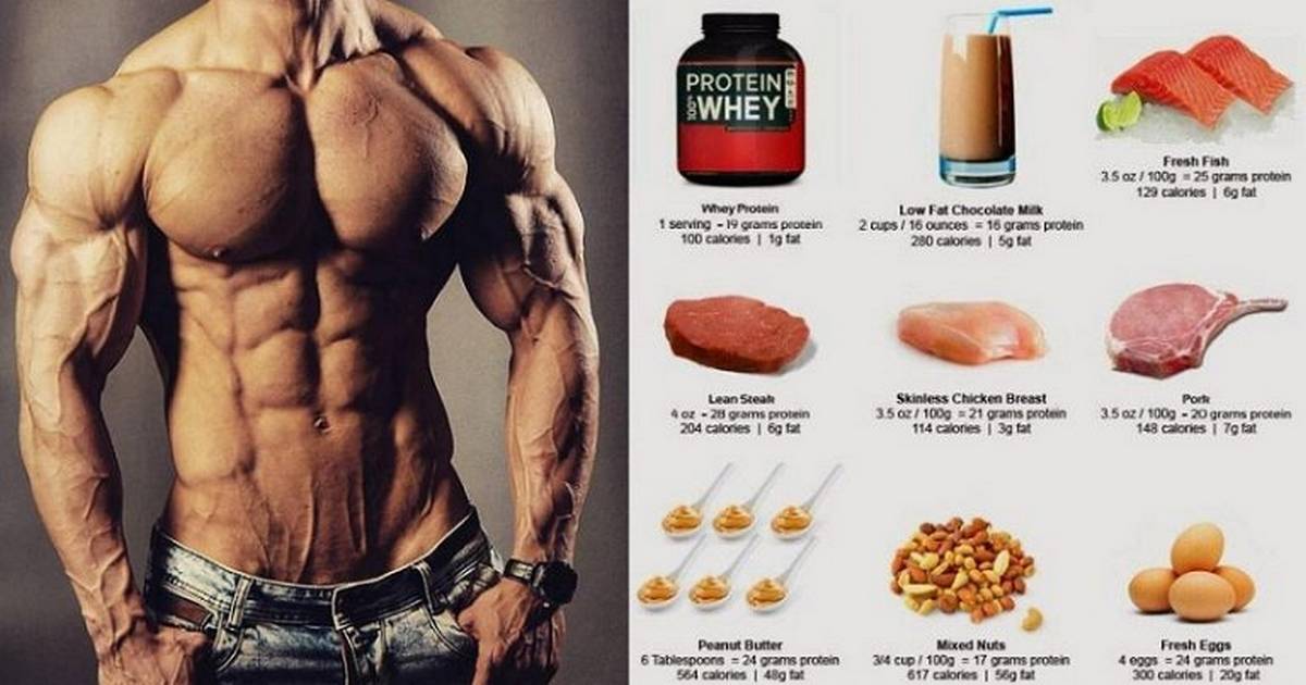В каких продуктах содержится протеин? 30 натуральных продуктов с высоким содержанием белка