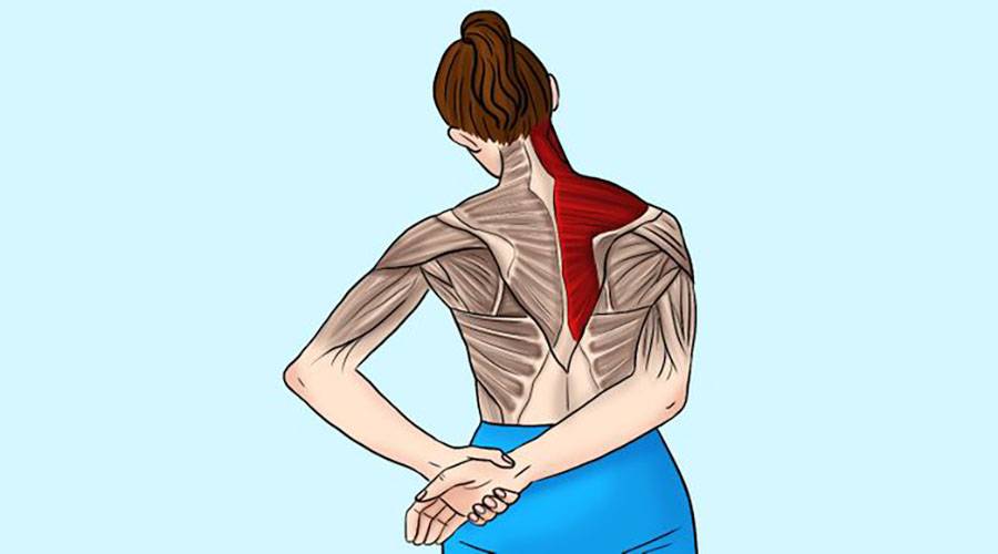 Как расслабить мышцы шеи и плеч в домашних условиях (при остеохондрозе, при неврозе): препараты (мази, таблетки, уколы), лечебная гимнастика, видео