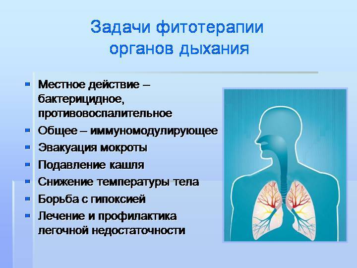 Мудры при заболеваниях дыхательных путей