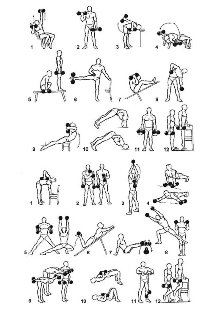 Упражнения с гантелями для девушек: комплекс на все группы мышц