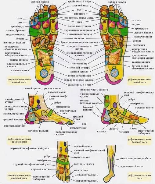 Точки здоровья на наших ногах: как с помощью массажа стоп лечить внутренние органы
