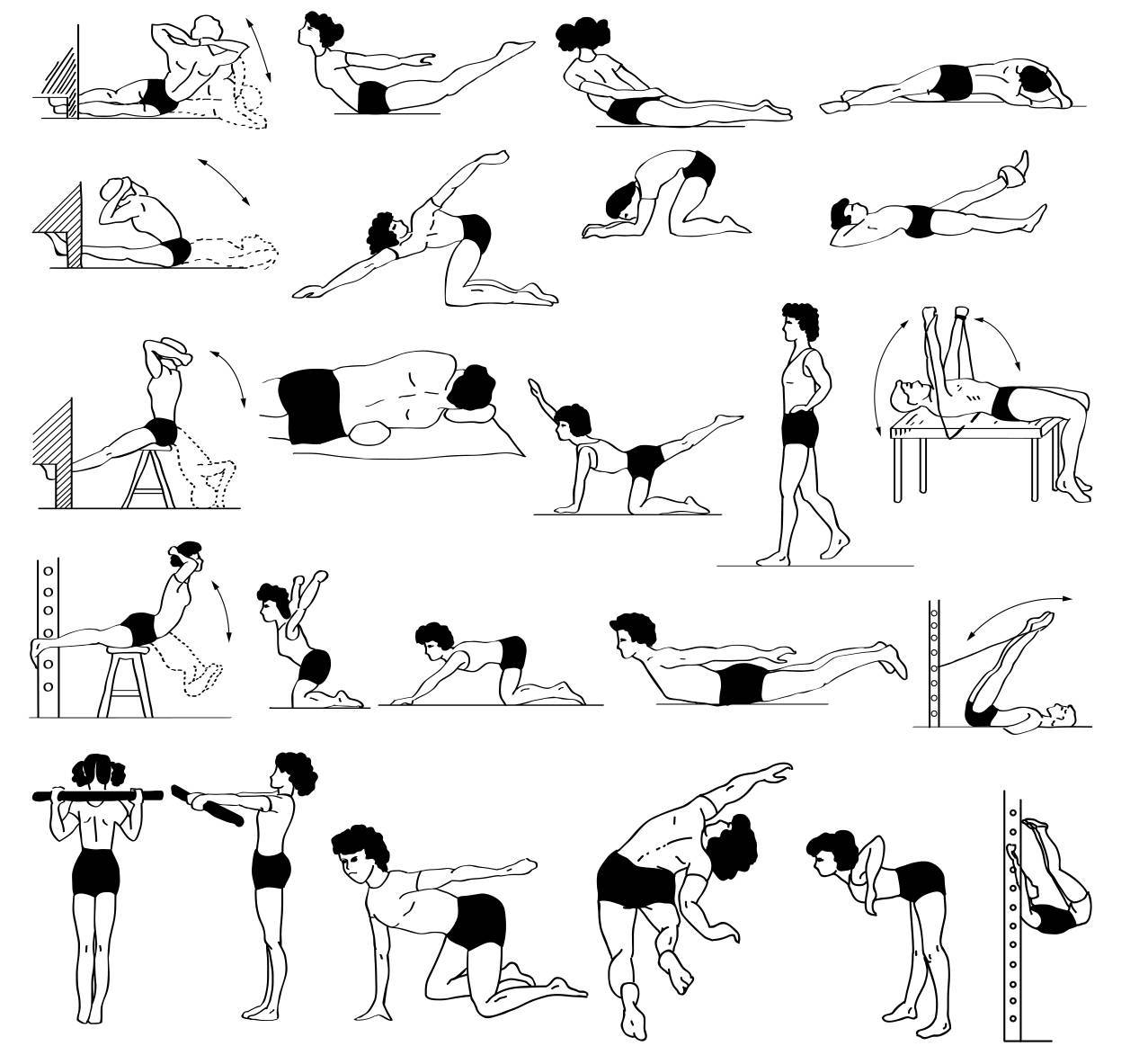 Упражнения при сколиозе позвоночника — гимнастика для спины