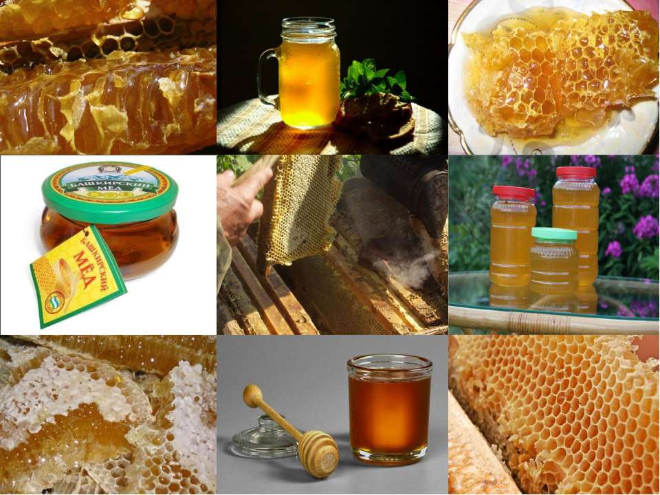 Полезные свойства мёда и как правильно его употреблять