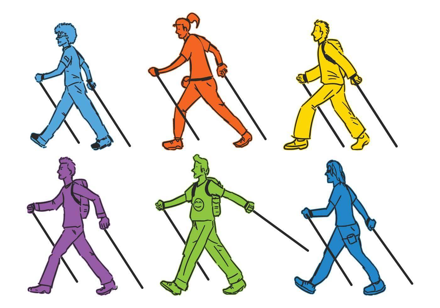 Скандинавская ходьба с палками: техника ходьбы, как правильно ходить, дышать, инструкция, правила