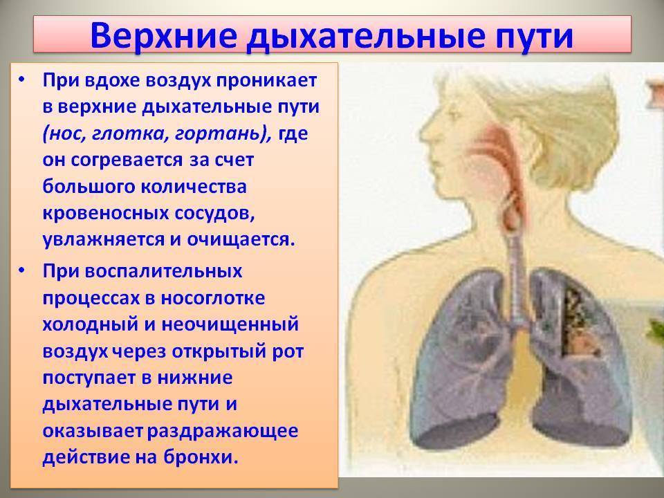 Остановка дыхания | eurolab | пульмонология