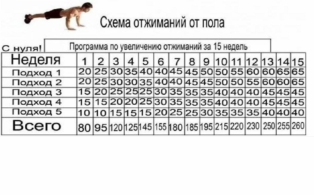 Отжимания от пола. как правильно отжиматься.