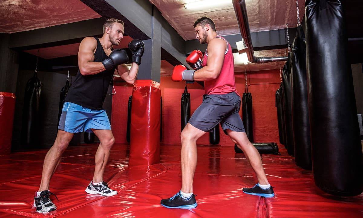 Совмещение тренировок — бодибилдинг и бокс, как совмещать силовые тренировки с единоборствами, тренинг, отдых и препараты