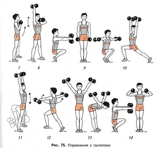 Лучшие упражнения с гантелями для женщин + схемы тренировок