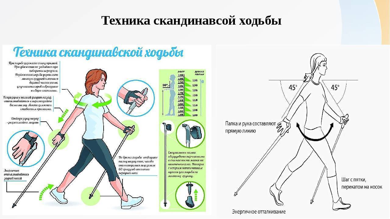 Скандинавская ходьба с палками: техника ходьбы для начинающих для похудения