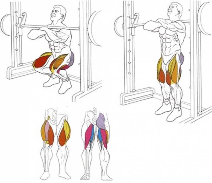Как правильно делать присед со штангой на плечах и какие мышцы им прокачиваются?