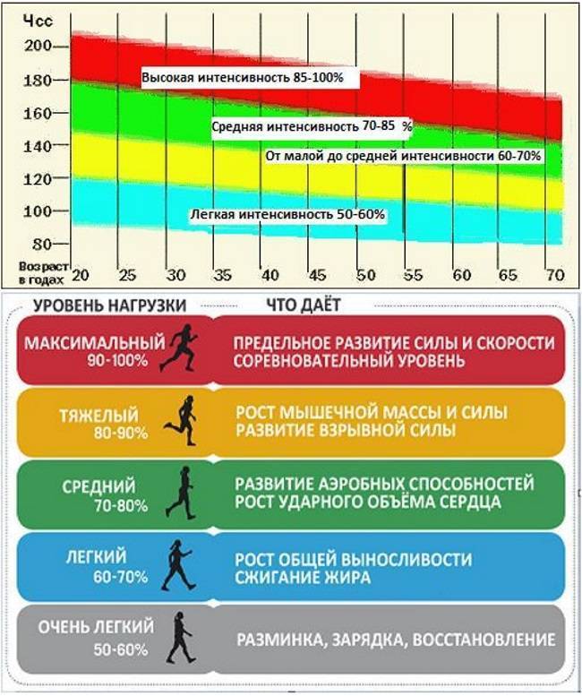 Рассчитаем пульс для тренировки с целью похудения - похудение с расчётом - www.calorizator.ru