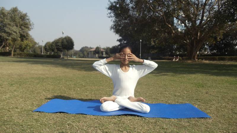 Пранаяма (развитие жизненной энергии) - техники и практики йоги - статьи и тексты - библиотека сайта - гималайская йога традиции свами рамы