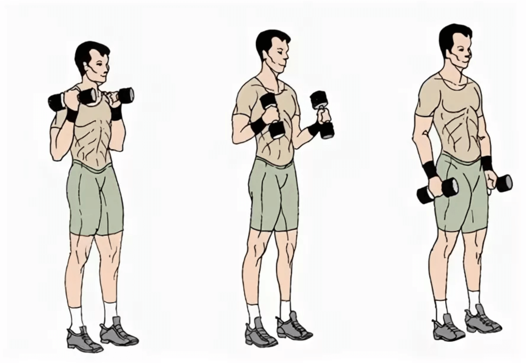 Упражнение молоток на бицепс: как правильно делать с гантелями, техника выполнения, какие мышцы работают