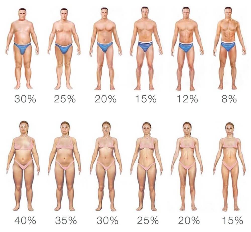 Процент жира в организме: нормы для мужчин и женщин - tony.ru