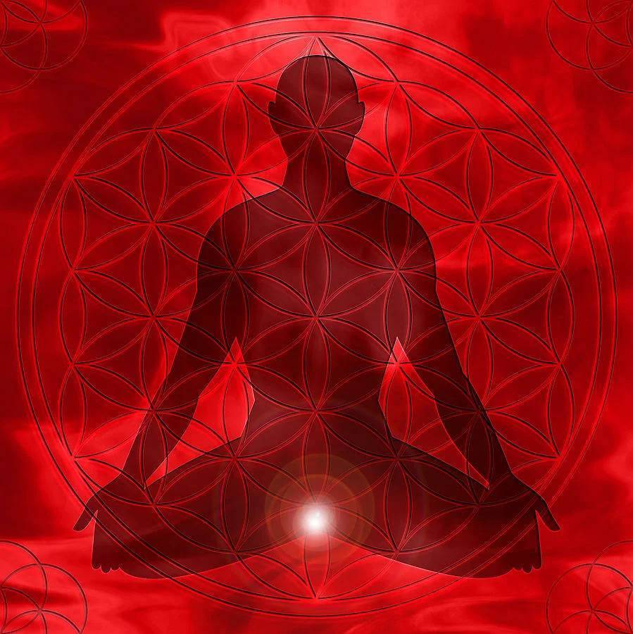 Муладхара чакра: как сбалансировать корневую чакру » университет mindvalley