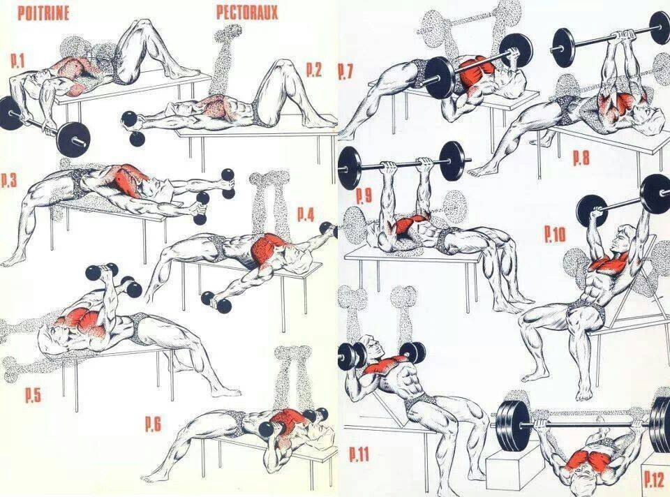 Упражнения для груди: комплекс в тренажерном зале