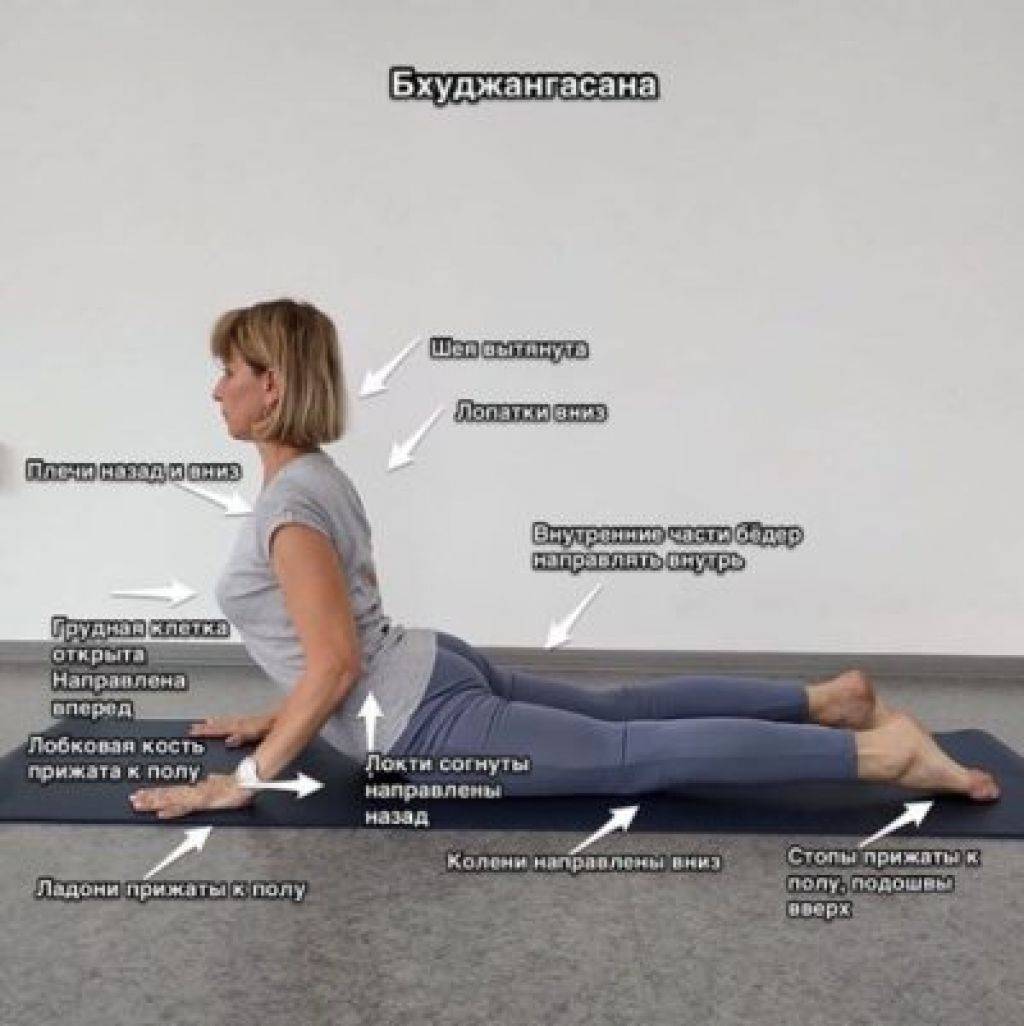Бхуджангасана или поза кобры в йоге: техника выполнения, польза, противопоказания