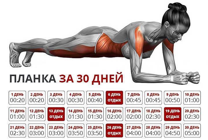 Упражнение планка: как правильно делать