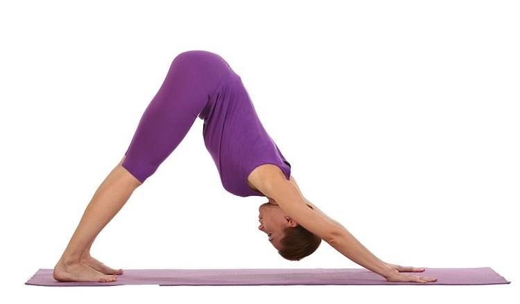 Комплекс сурья намаскар: техника выполнения - pilates-yoga