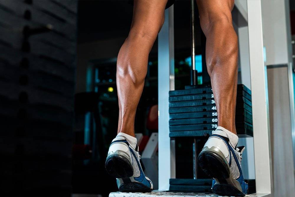 Упражнения на икры ног - 3 лучших способа прокачать икроножные мышцы