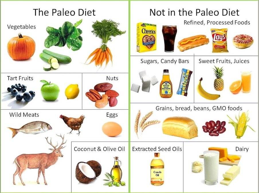 Палео диета: польза, вред и результаты