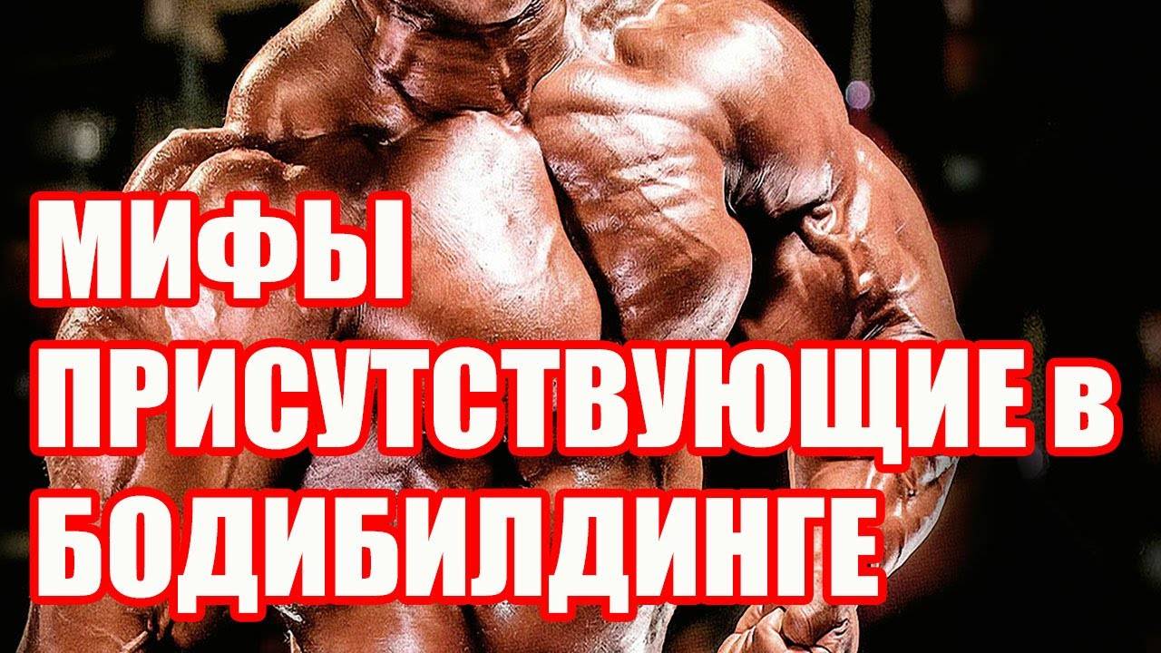Самые известные мифы о бодибилдинге «  prokachkov.ru