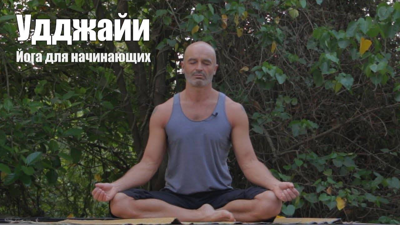 Пранаяма - техника дыхания в йоге для начинающих, дыхательные упражнения пранаямы для работы с энергией - студия йоги чакра