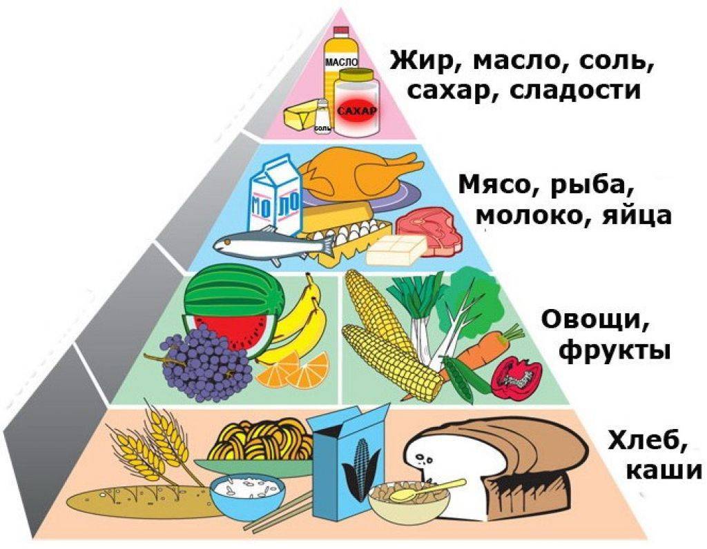 Организация режима питания: все о правильном режиме питания человека | микразим