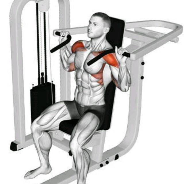 Хаммер тренажер какие мышцы работают